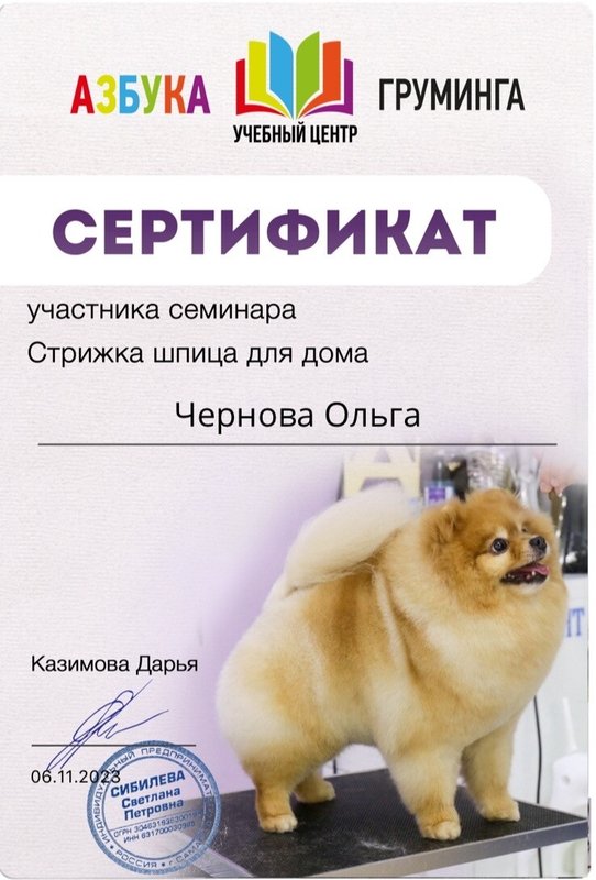 Документ или сертификат