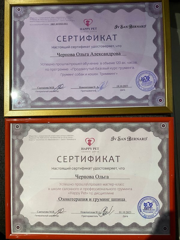 Документ или сертификат