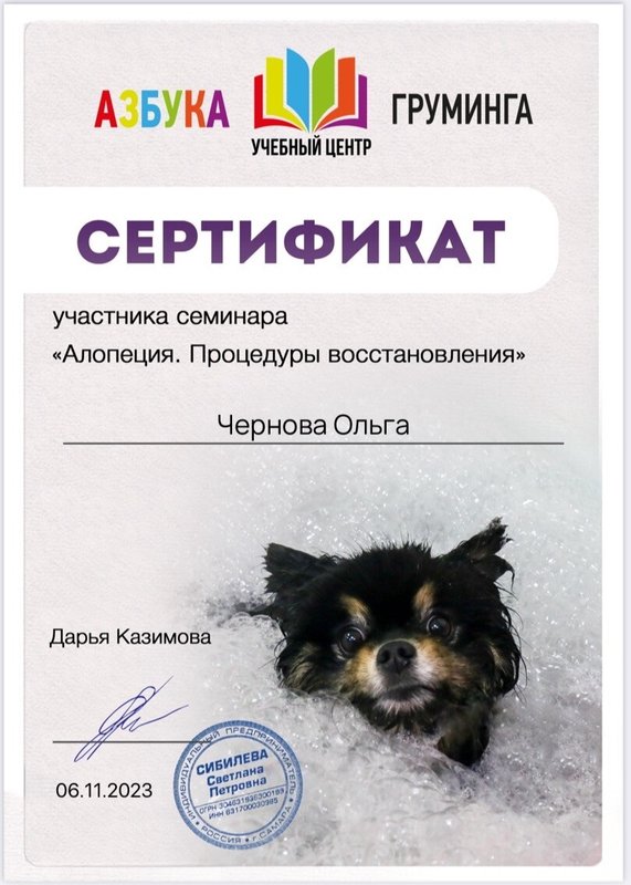 Документ или сертификат