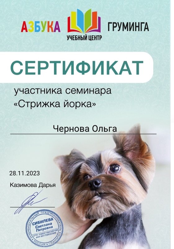 Документ или сертификат