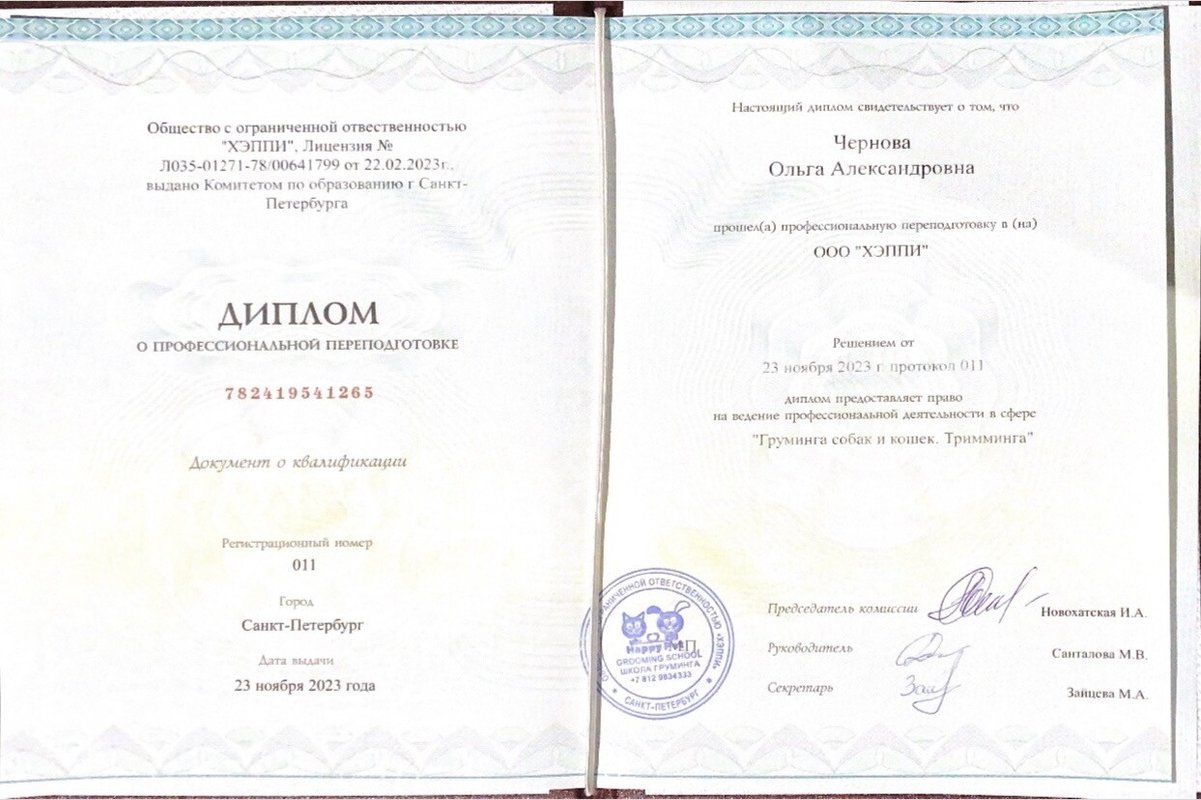 Документ или сертификат