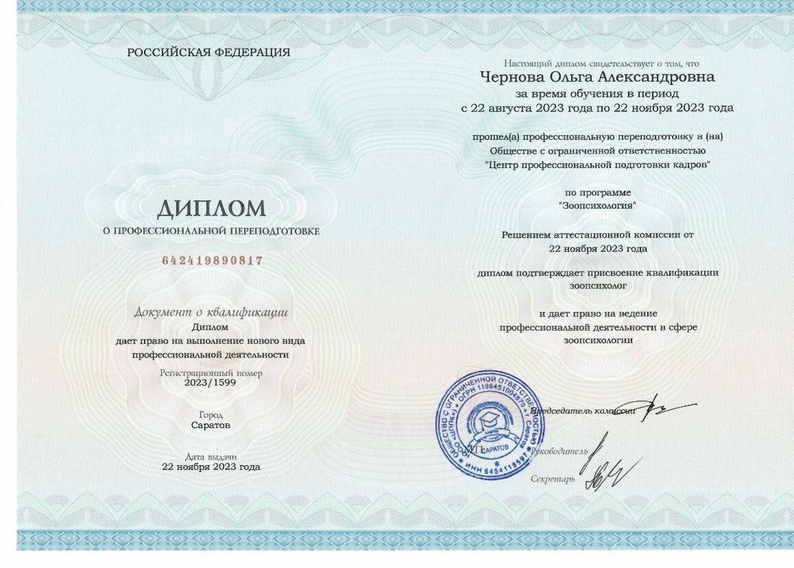 Документ или сертификат