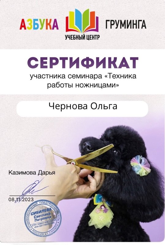 Документ или сертификат