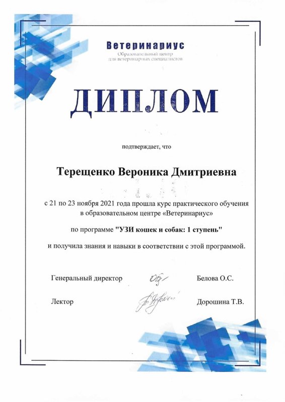 Документ или сертификат