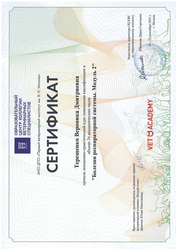 Документ или сертификат