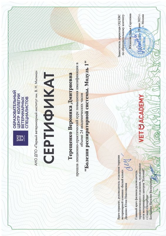 Документ или сертификат