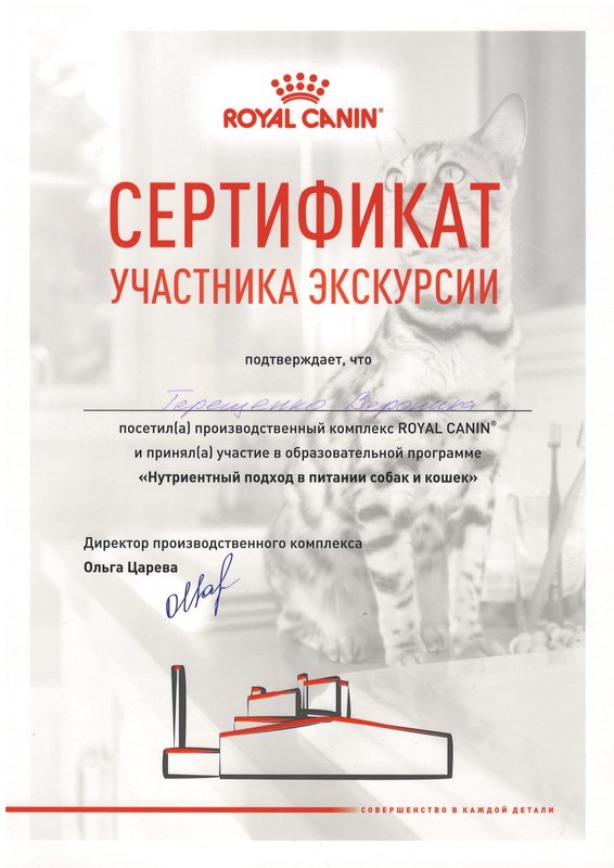 Документ или сертификат