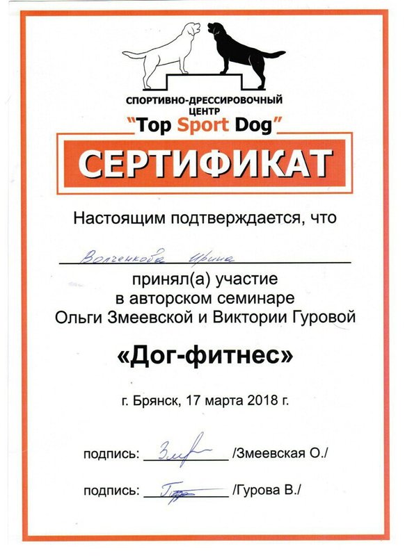 Документ или сертификат