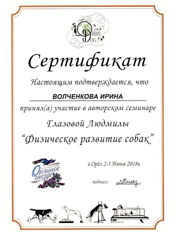 Документ или сертификат