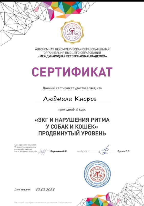 Документ или сертификат