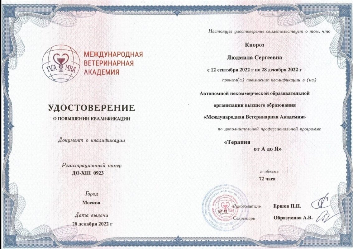 Документ или сертификат