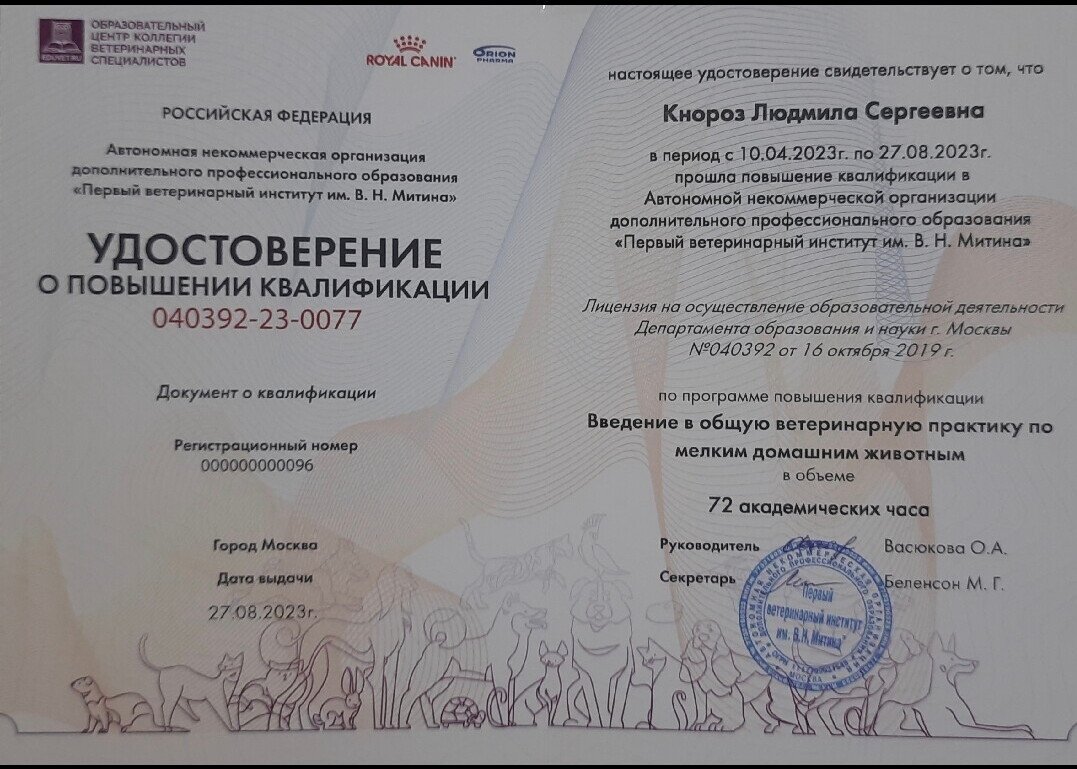 Документ или сертификат