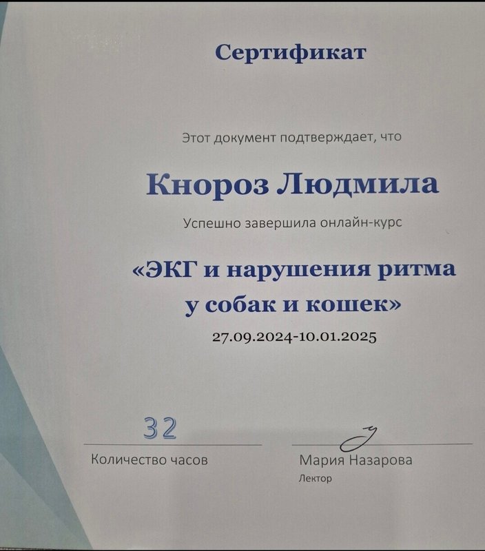 Документ или сертификат