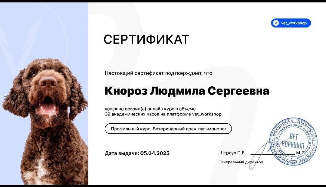 Документ или сертификат