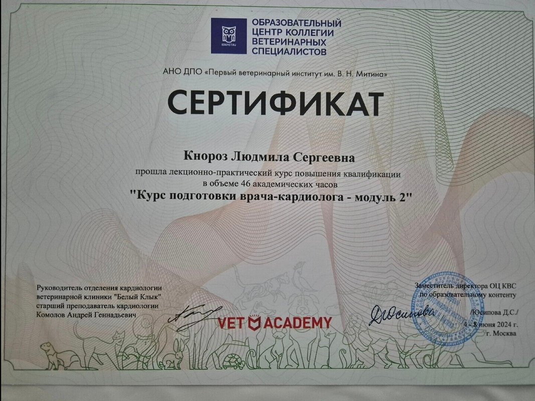 Документ или сертификат