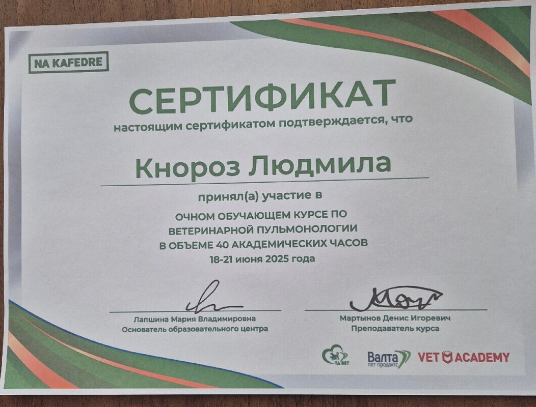Документ или сертификат