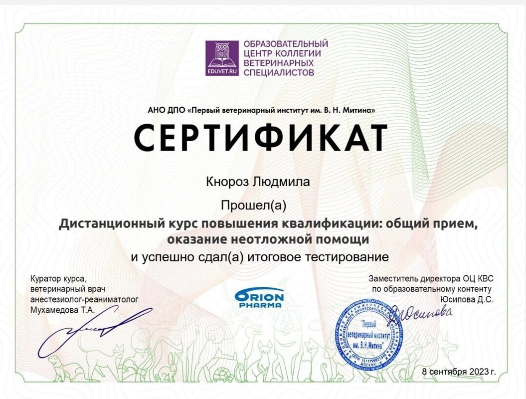 Документ или сертификат