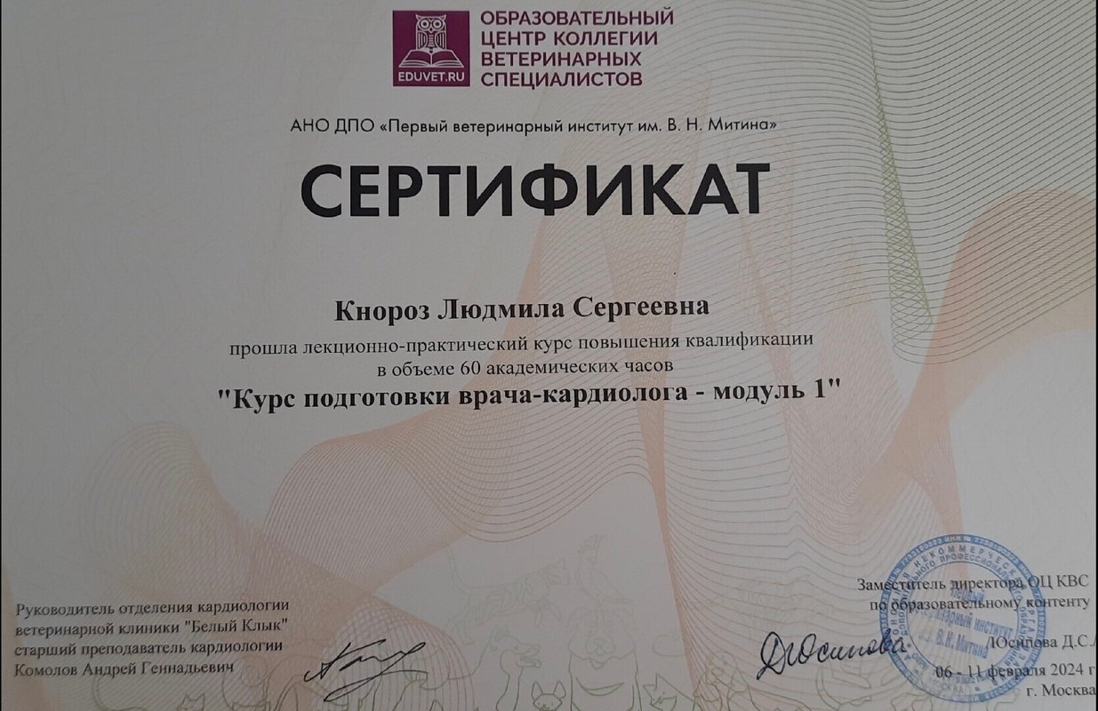 Документ или сертификат