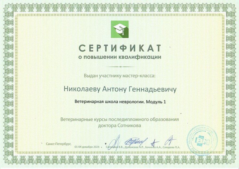 Документ или сертификат