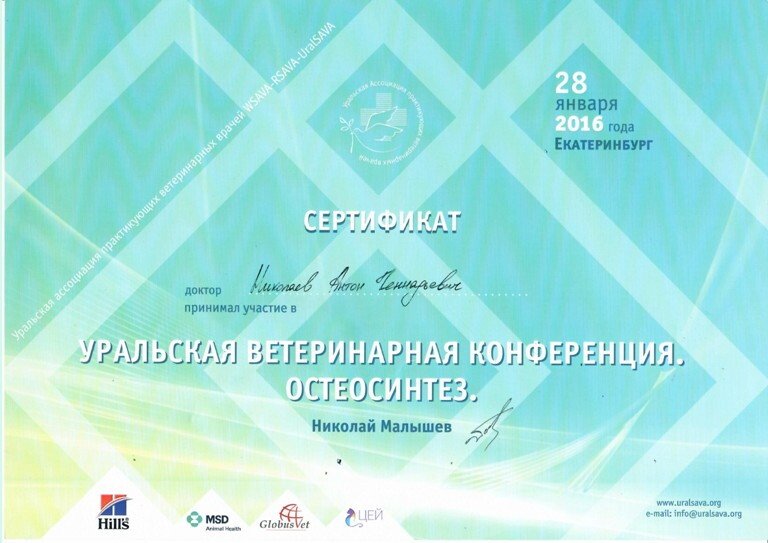 Документ или сертификат