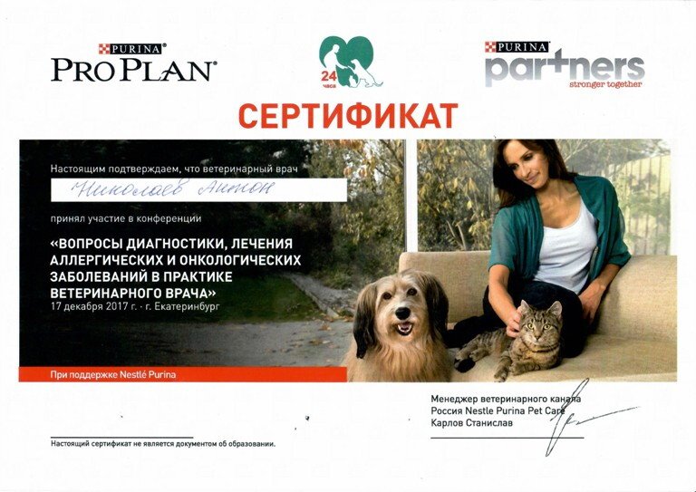 Документ или сертификат