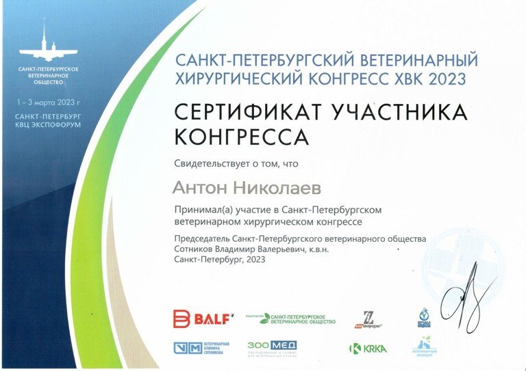 Документ или сертификат