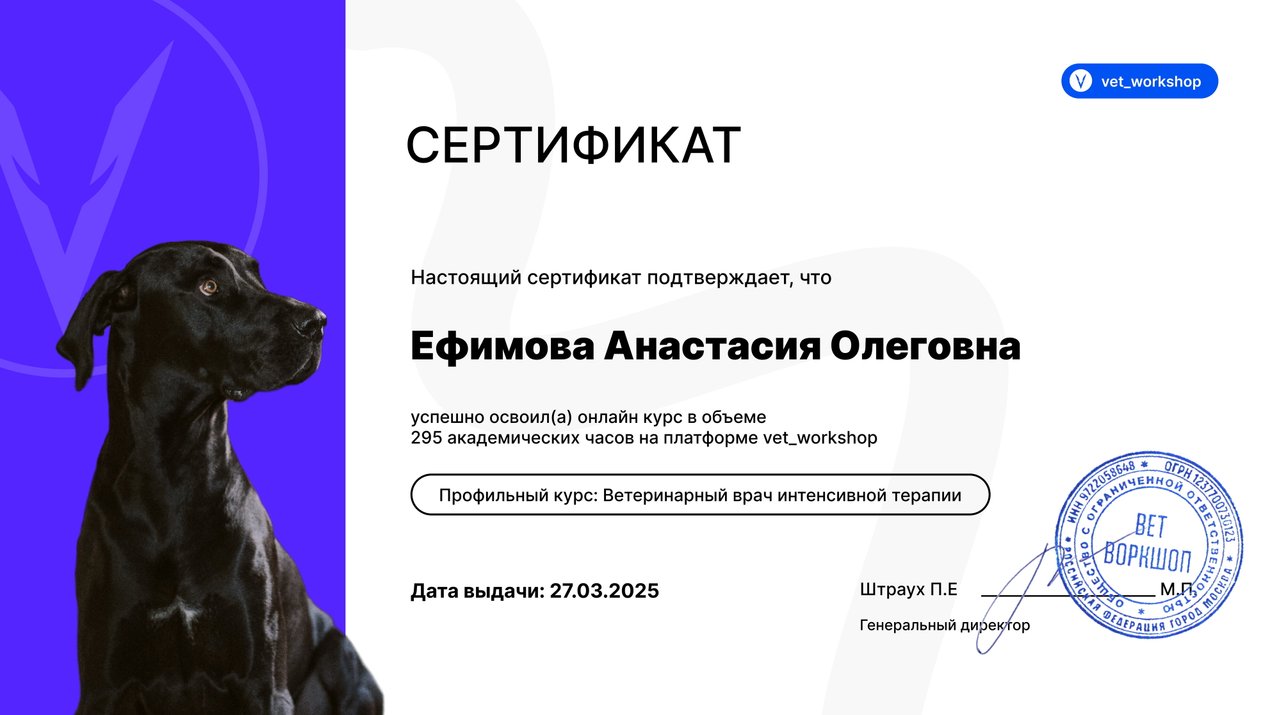 Документ или сертификат
