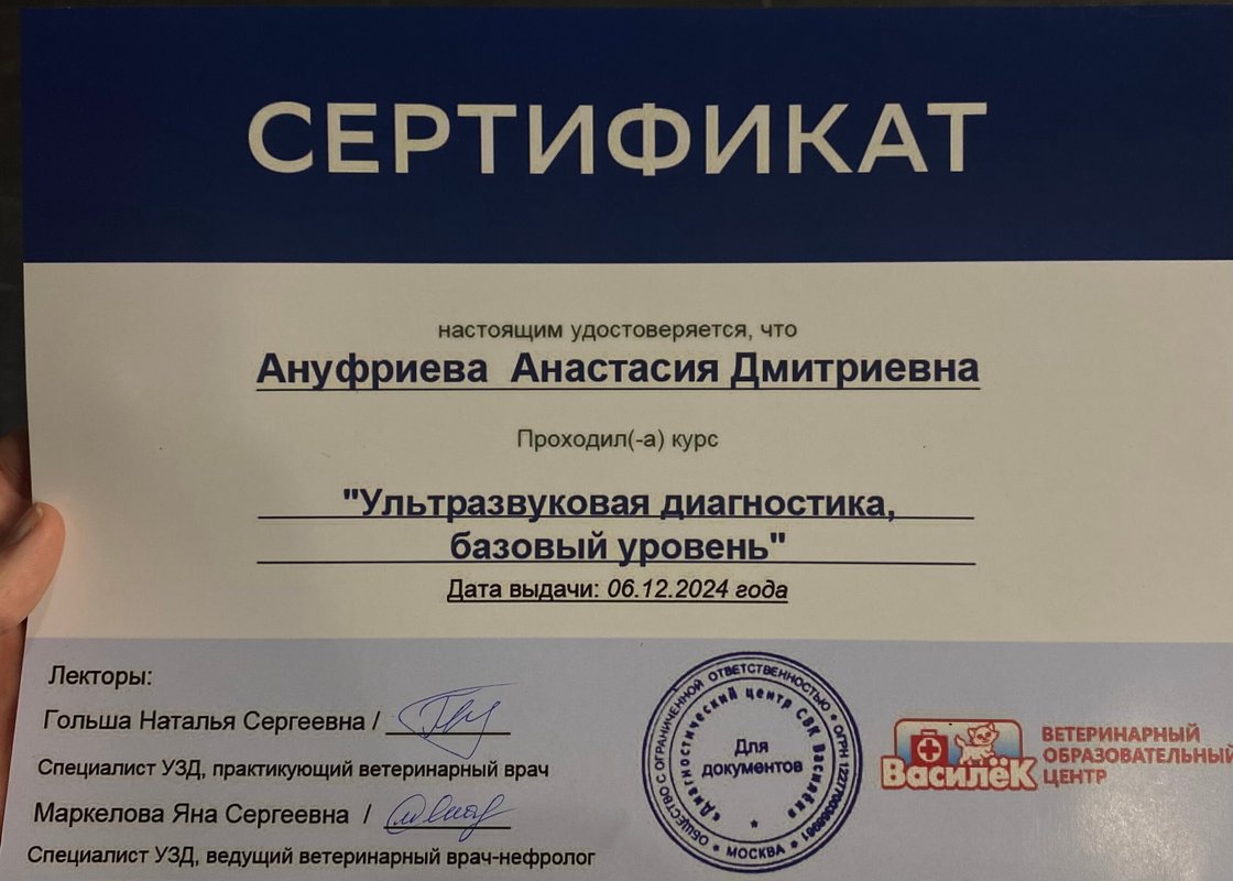 Документ или сертификат