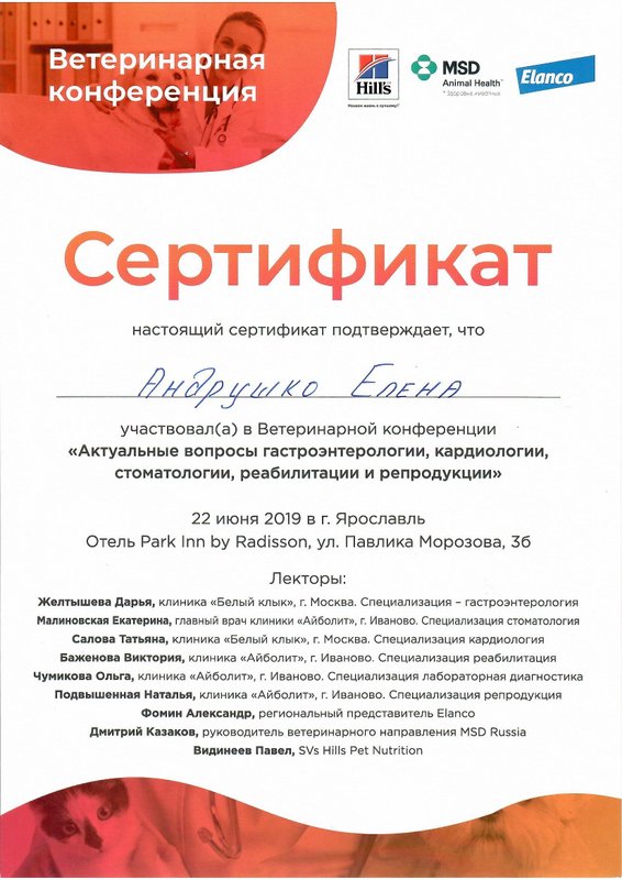 Документ или сертификат