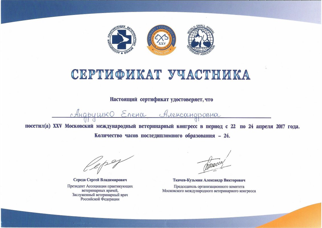 Документ или сертификат