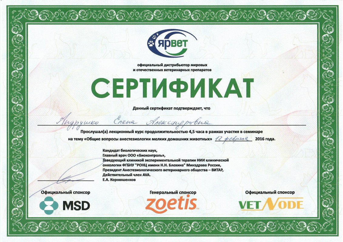 Документ или сертификат