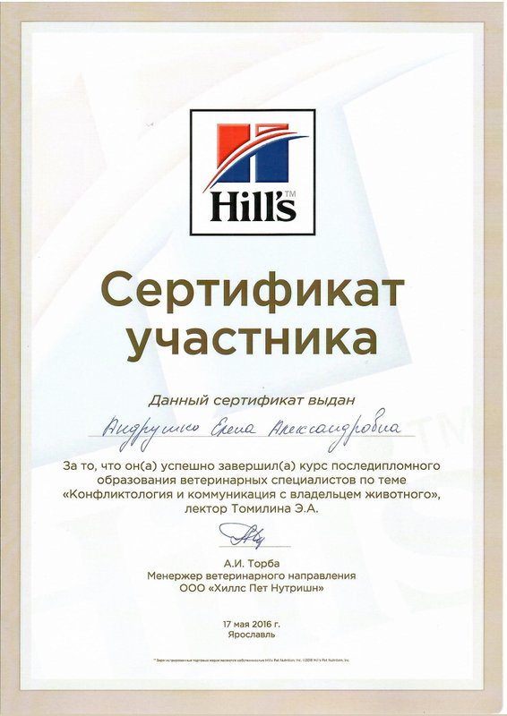 Документ или сертификат