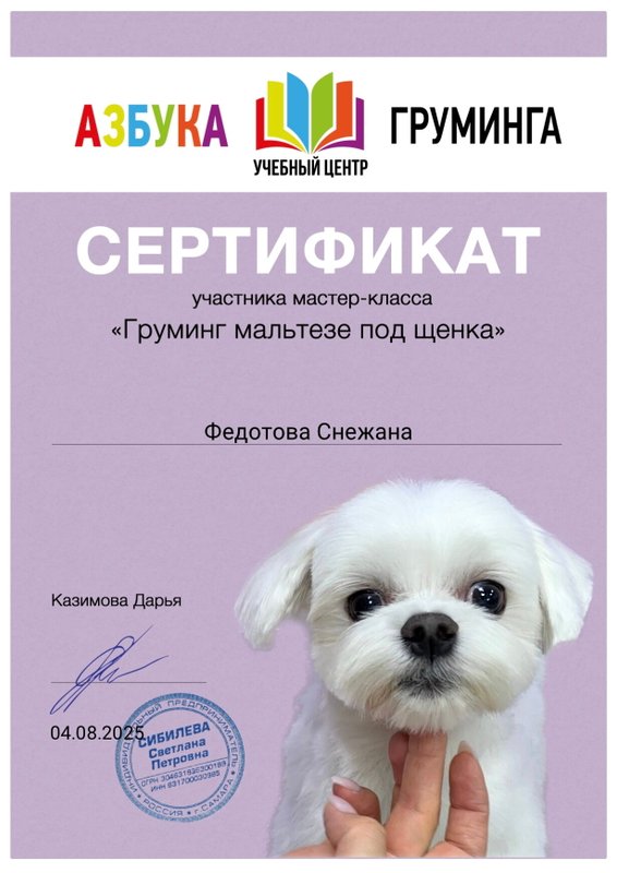 Документ или сертификат