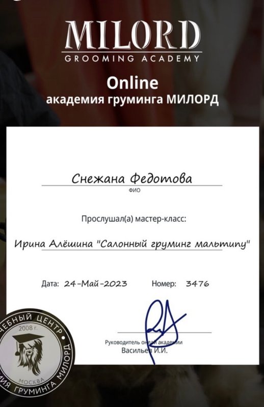 Документ или сертификат