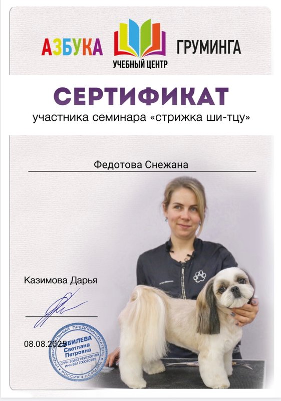 Документ или сертификат
