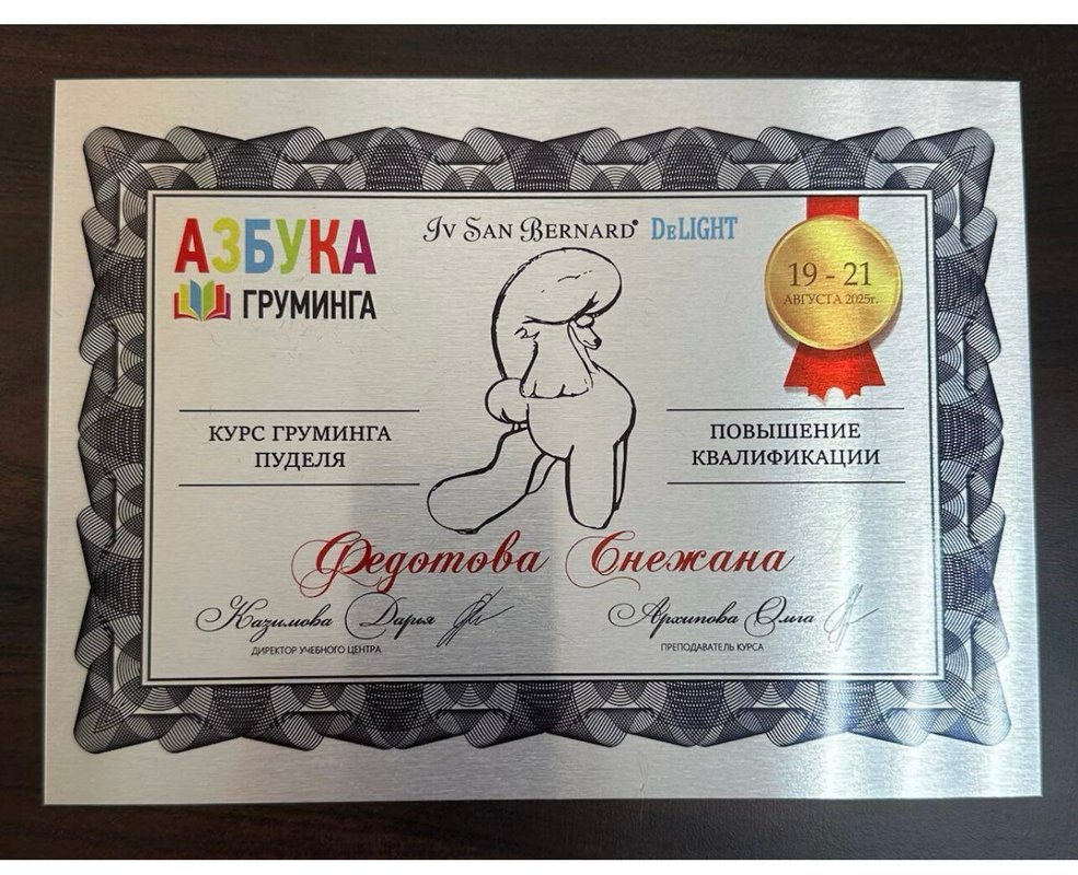 Документ или сертификат