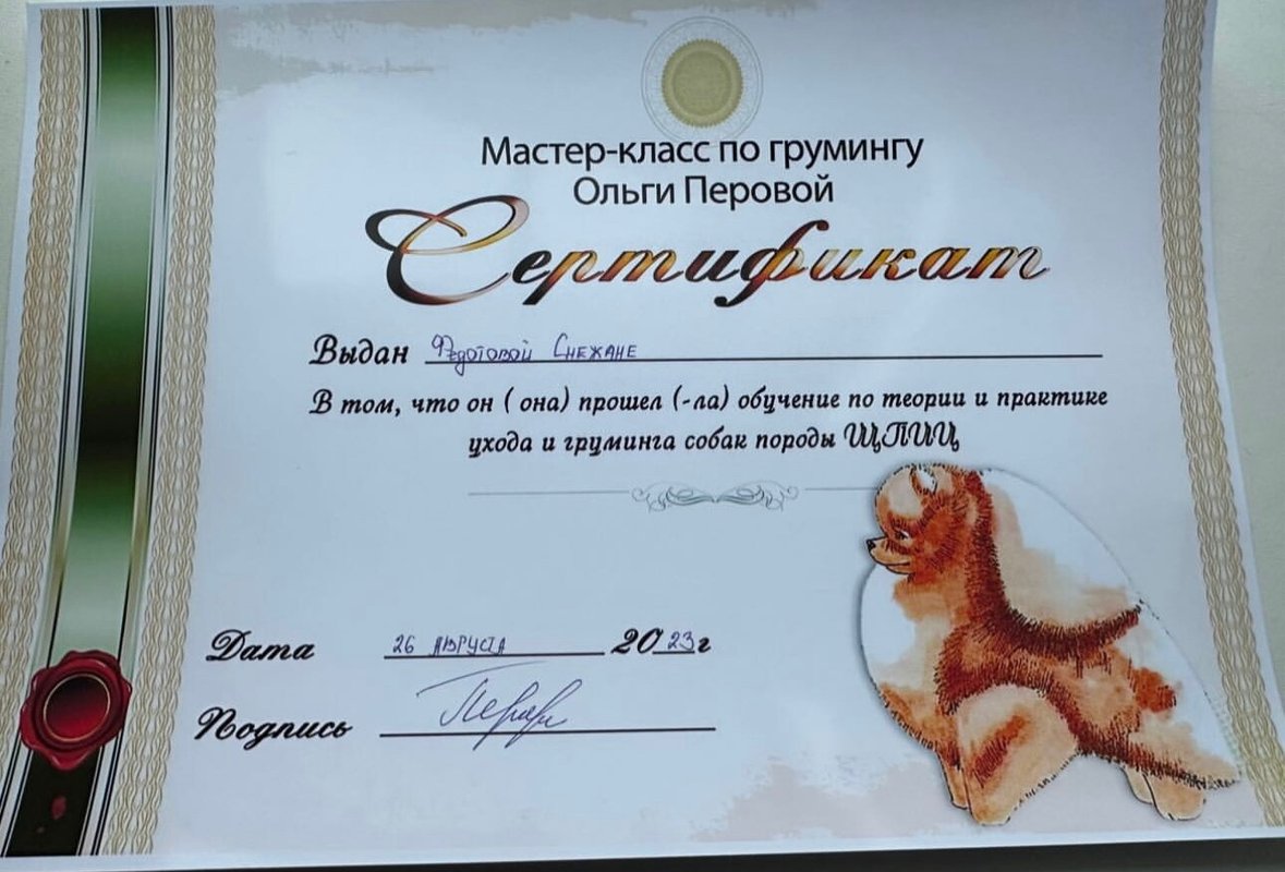 Документ или сертификат