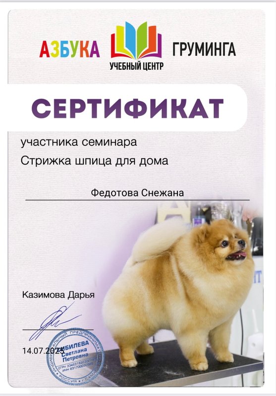 Документ или сертификат