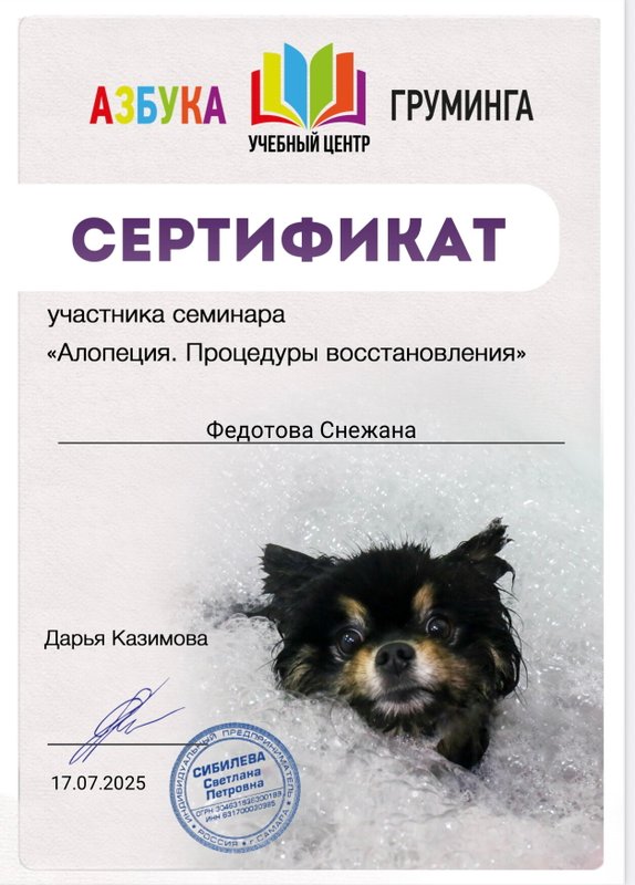 Документ или сертификат