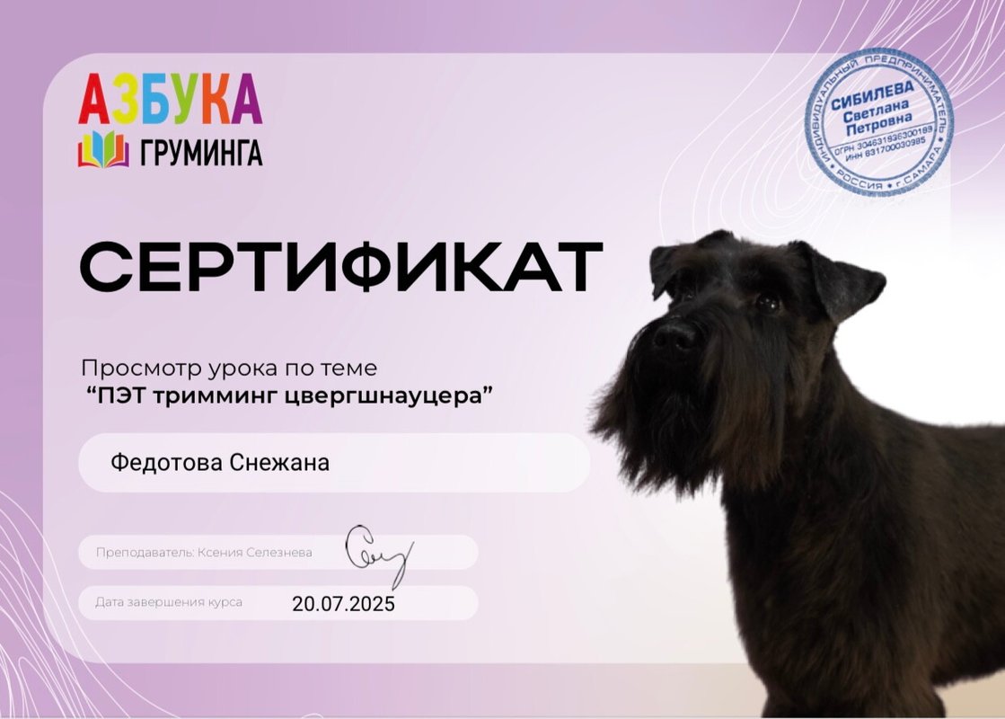 Документ или сертификат