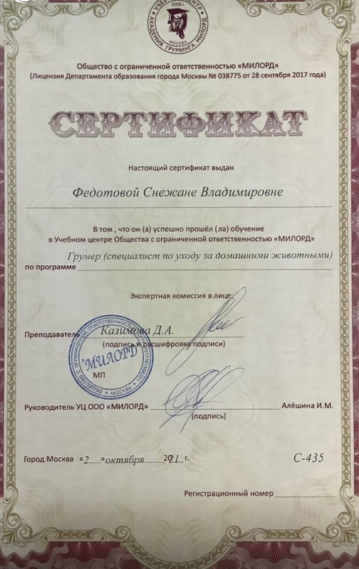 Документ или сертификат
