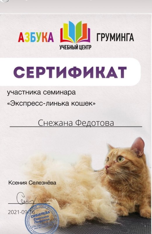 Документ или сертификат
