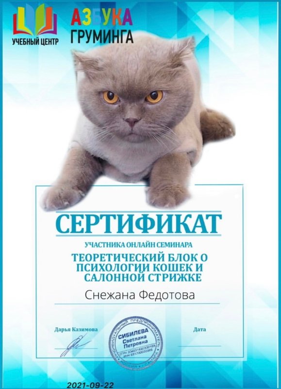 Документ или сертификат