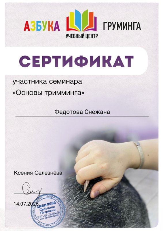 Документ или сертификат