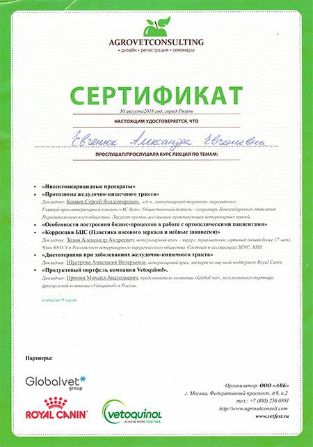 Документ или сертификат