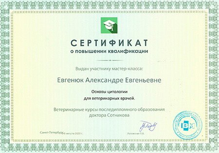 Документ или сертификат