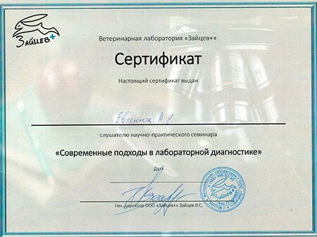 Документ или сертификат