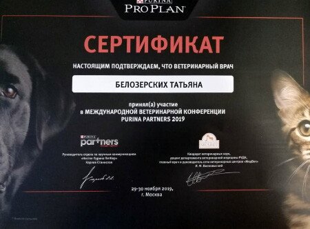 Документ или сертификат