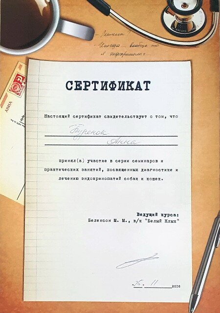 Документ или сертификат