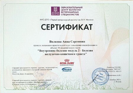 Документ или сертификат